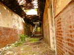 Hellingley 093